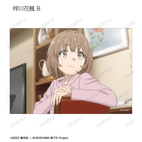 『青春ブタ野郎はランドセルガールの夢を見ない』トレーディング場面写ブロマイド(単位/BOX)【202509再販】